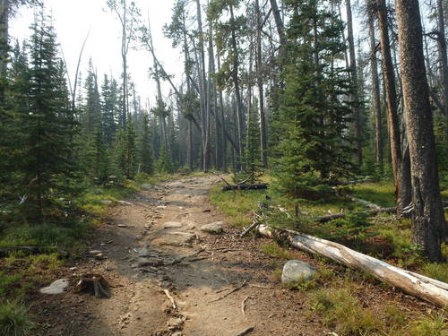 GDMBR: Challenging Bicycle Tour Trail.